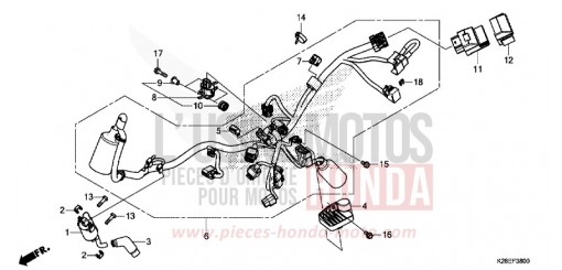 FAISCEAU DES FILS CRF125FP de 2024